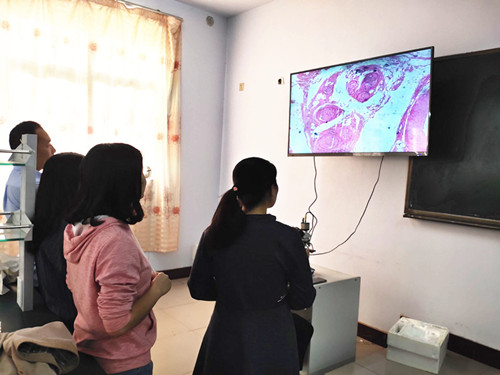 0918下午 1 (8)_副本_副本.jpg