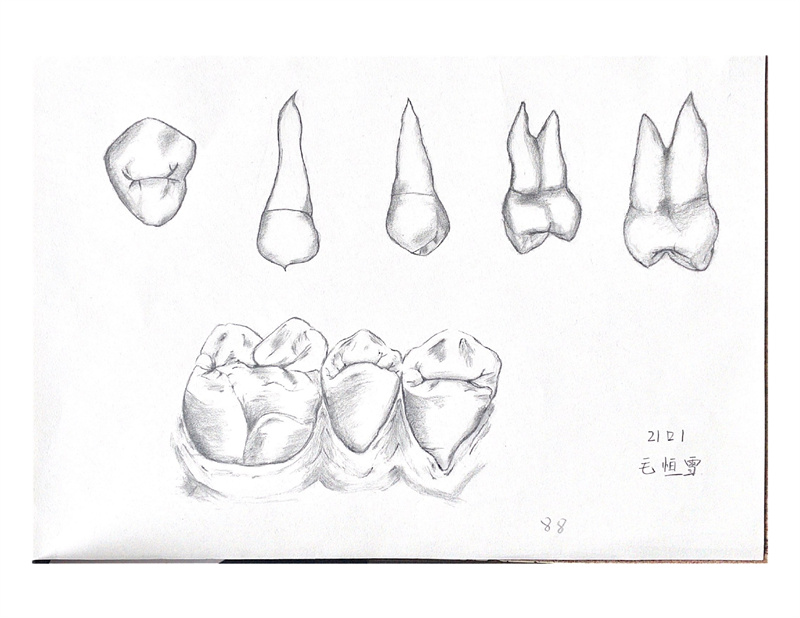 1649744513136759.jpg 牙体素描照片_page-0007.jpg