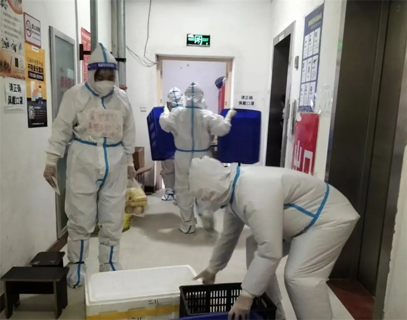 1724134769375518.jpg 5.jpg