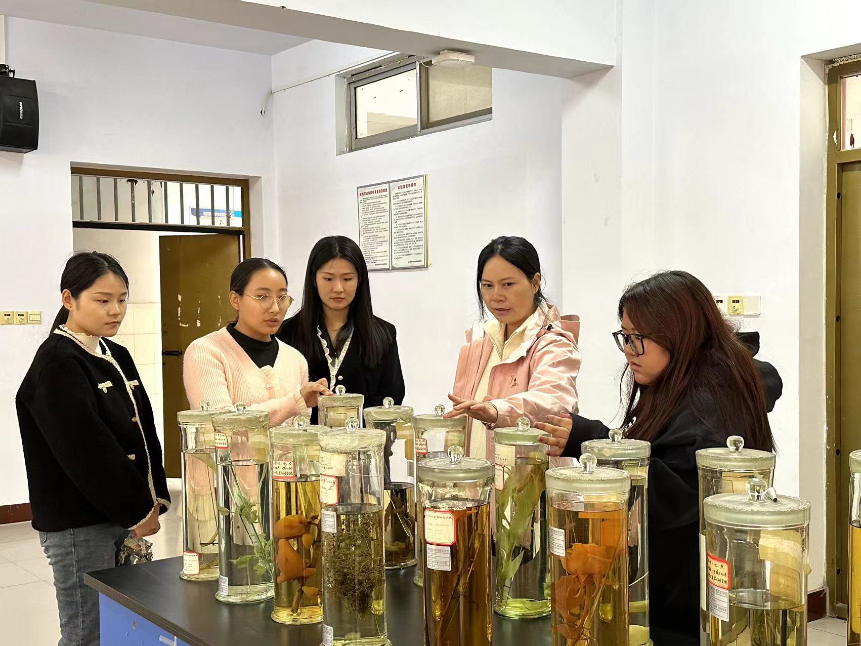 1724659355514007.jpg 1724659355514007.jpg